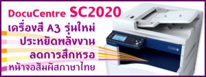 PAGE-sc2020